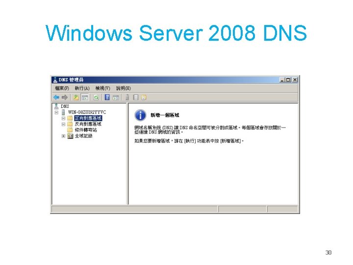 Windows Server 2008 DNS 30 