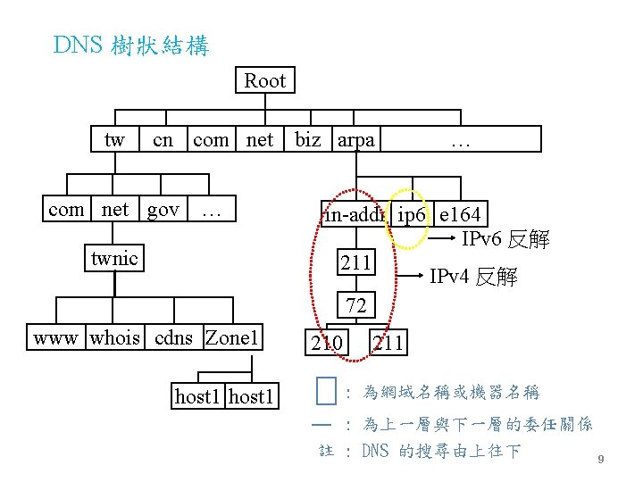 DNS 樹狀結構 Root tw cn com net gov … twnic www whois cdns Zone