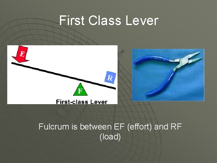 First Class Lever Fulcrum is between EF (effort) and RF (load) 