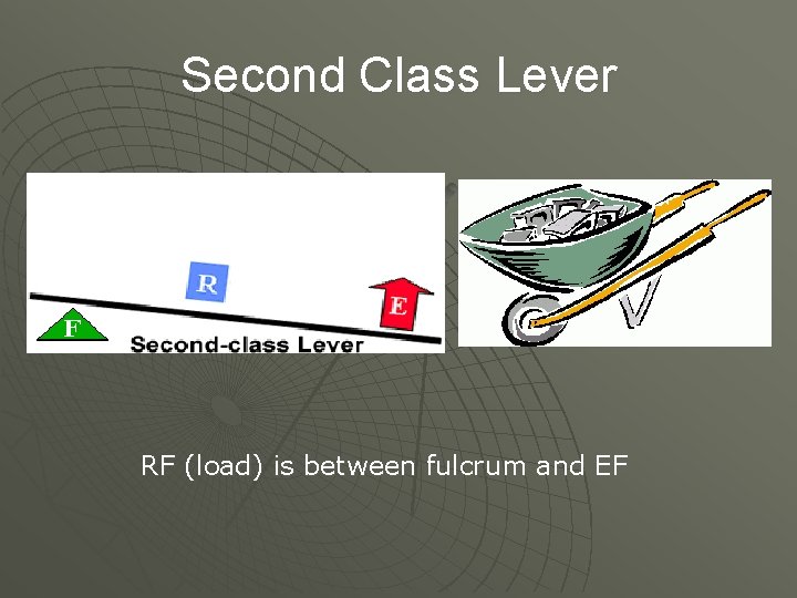 Second Class Lever RF (load) is between fulcrum and EF 