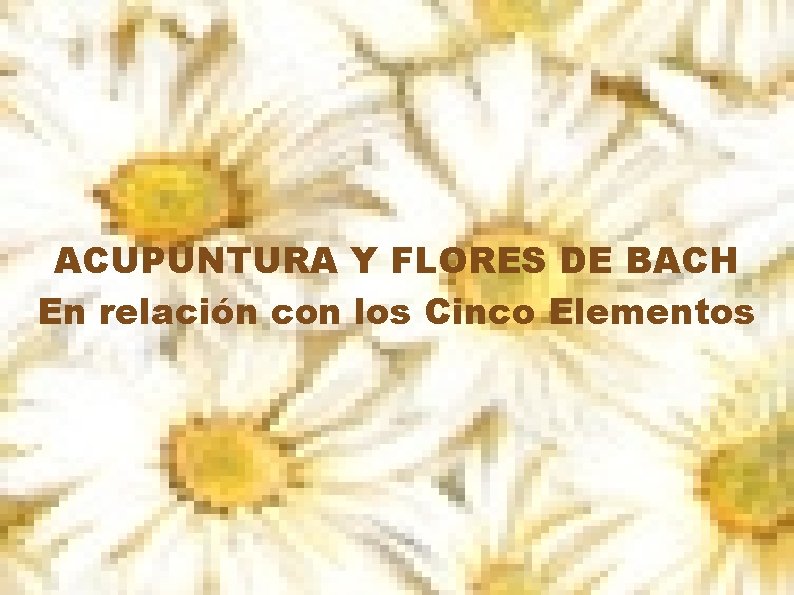 ACUPUNTURA Y FLORES DE BACH En relación con los Cinco Elementos 