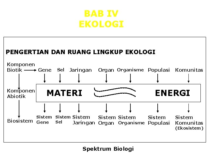 BAB IV EKOLOGI PENGERTIAN DAN RUANG LINGKUP EKOLOGI Komponen Gene Biotik Komponen Abiotik Sel