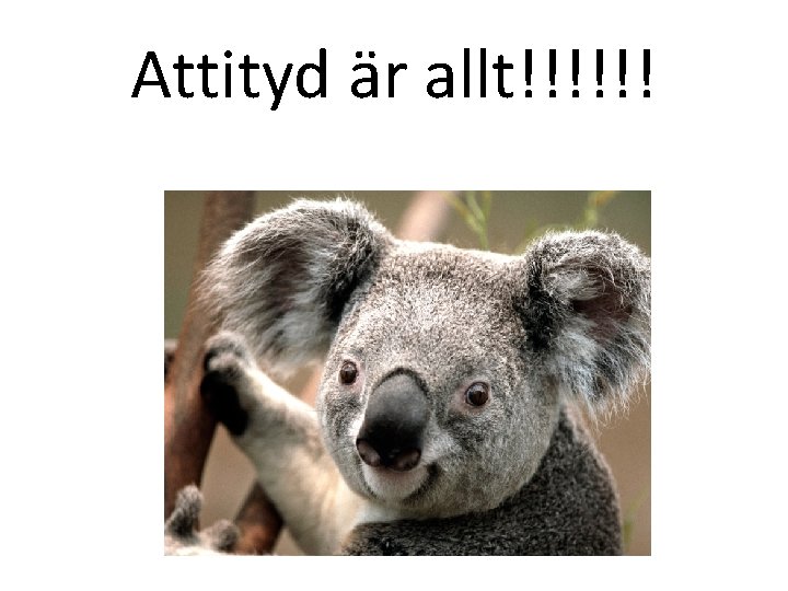 Attityd är allt!!!!!! 