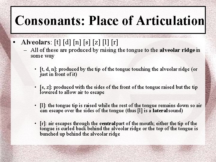 Consonants: Place of Articulation • Alveolars: [t] [d] [n] [s] [z] [l] [r] –