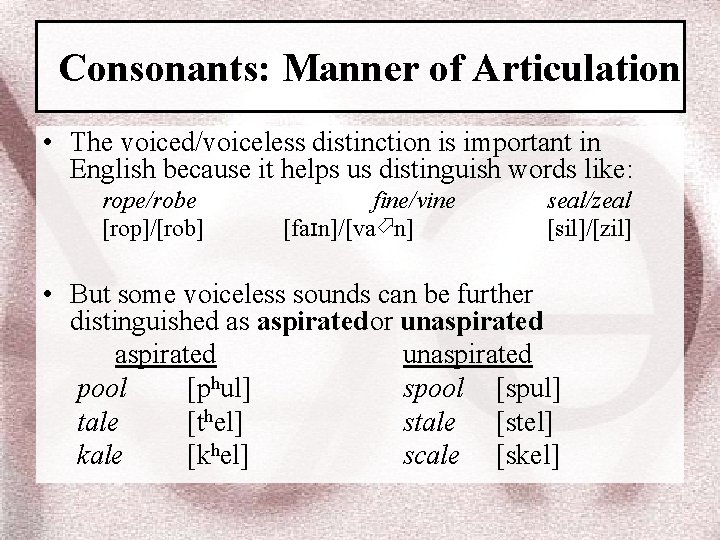 Consonants: Manner of Articulation • The voiced/voiceless distinction is important in English because it