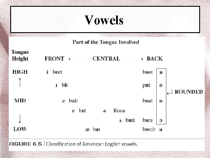 Vowels 