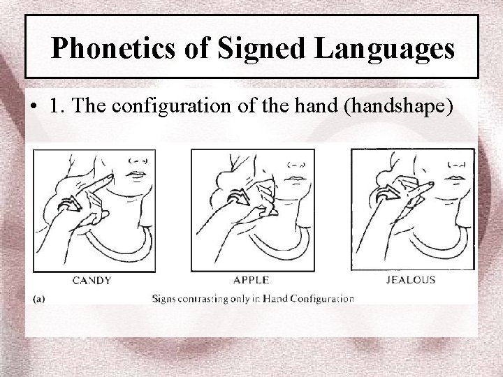 Phonetics of Signed Languages • 1. The configuration of the hand (handshape) 