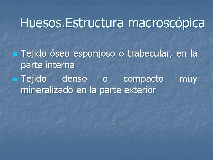 Huesos. Estructura macroscópica n n Tejido óseo esponjoso o trabecular, parte interna Tejido denso