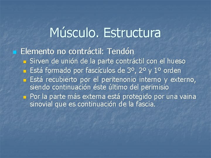 Músculo. Estructura n Elemento no contráctil: Tendón n n Sirven de unión de la