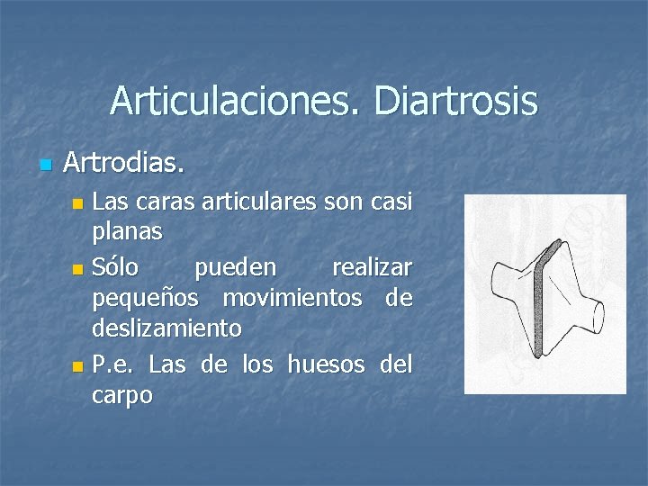 Articulaciones. Diartrosis n Artrodias. Las caras articulares son casi planas n Sólo pueden realizar