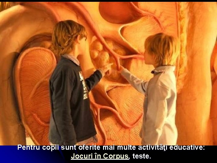 Pentru copii sunt oferite mai multe activităţi educative: Jocuri în Corpus, teste. 