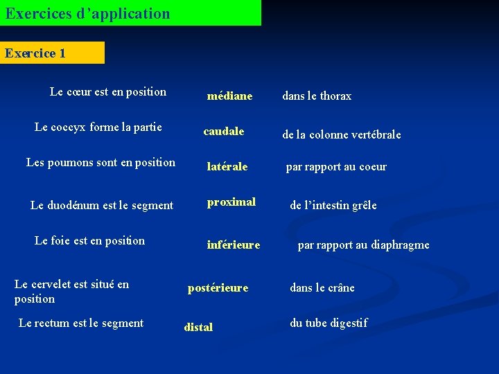 Exercices d’application Exercice 1 Le cœur est en position médiane Le coccyx forme la