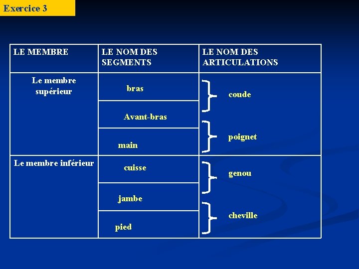 Exercice 3 LE MEMBRE Le membre supérieur LE NOM DES SEGMENTS bras LE NOM