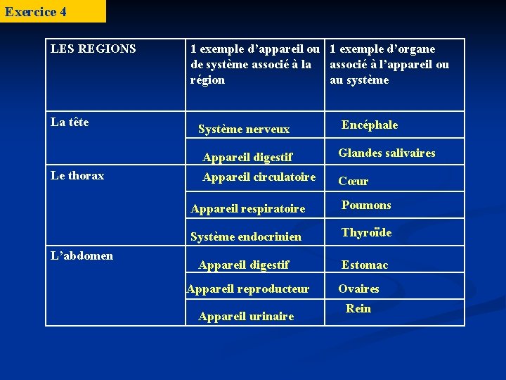 Exercice 4 LES REGIONS La tête Le thorax L’abdomen 1 exemple d’appareil ou 1