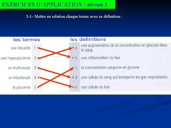 EXERCICES D’APPLICATION : niveau 2 3 -1 - Mettre en relation chaque terme avec