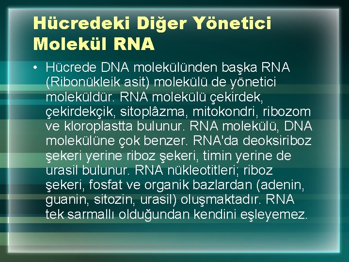 Hücredeki Diğer Yönetici Molekül RNA • Hücrede DNA molekülünden başka RNA (Ribonükleik asit) molekülü