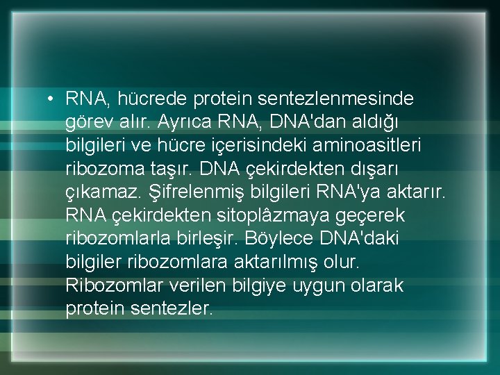  • RNA, hücrede protein sentezlenmesinde görev alır. Ayrıca RNA, DNA'dan aldığı bilgileri ve
