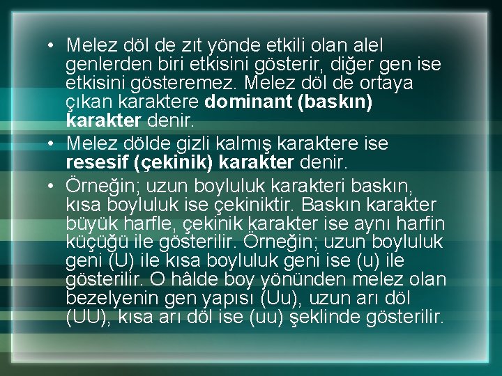  • Melez döl de zıt yönde etkili olan alel genlerden biri etkisini gösterir,