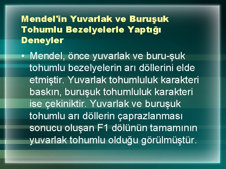 Mendel'in Yuvarlak ve Buruşuk Tohumlu Bezelyelerle Yaptığı Deneyler • Mendel, önce yuvarlak ve buru