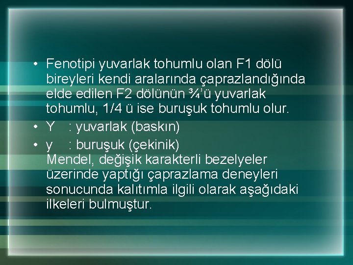  • Fenotipi yuvarlak tohumlu olan F 1 dölü bireyleri kendi aralarında çaprazlandığında elde