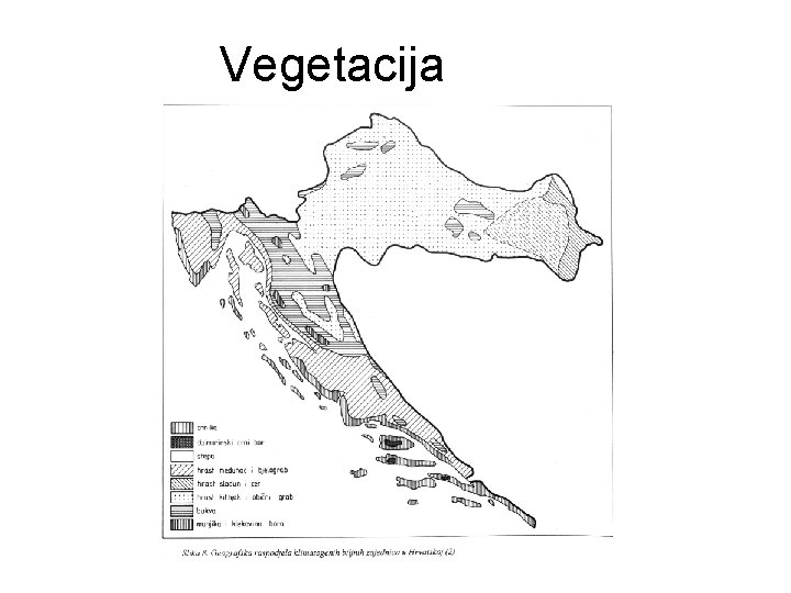 Vegetacija Vegetacija
