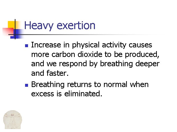 Heavy exertion n n Increase in physical activity causes more carbon dioxide to be