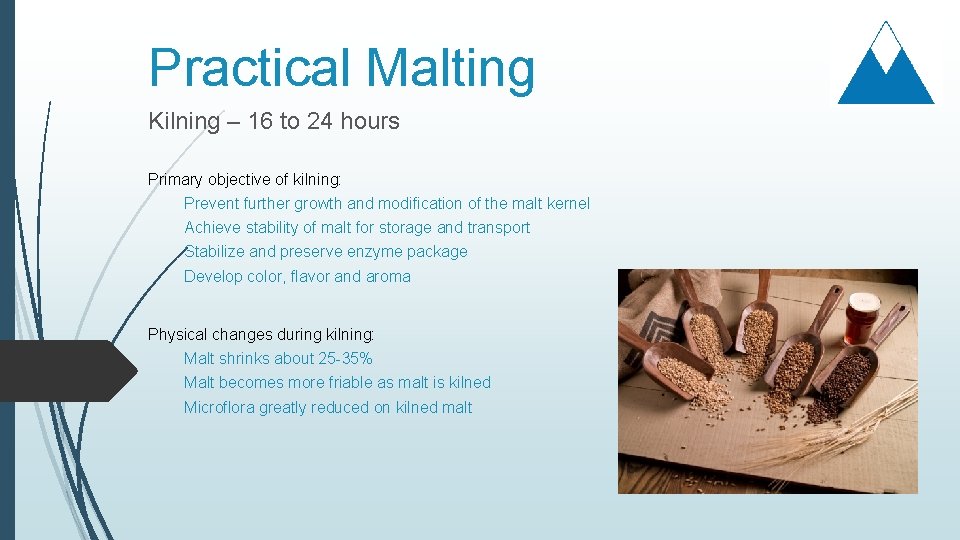 Practical Malting Kilning – 16 to 24 hours Primary objective of kilning: Prevent further