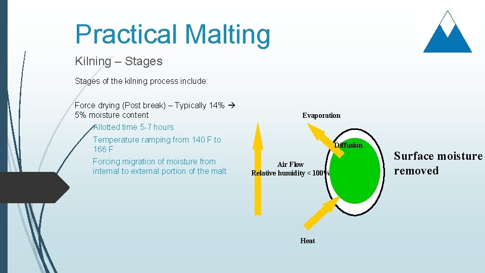 Practical Malting Kilning – Stages of the kilning process include: Force drying (Post break)