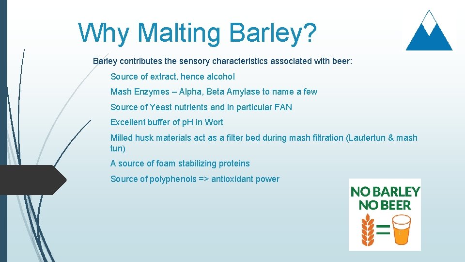 Why Malting Barley? Barley contributes the sensory characteristics associated with beer: Source of extract,