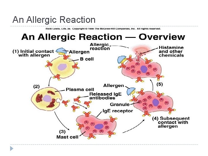 An Allergic Reaction 