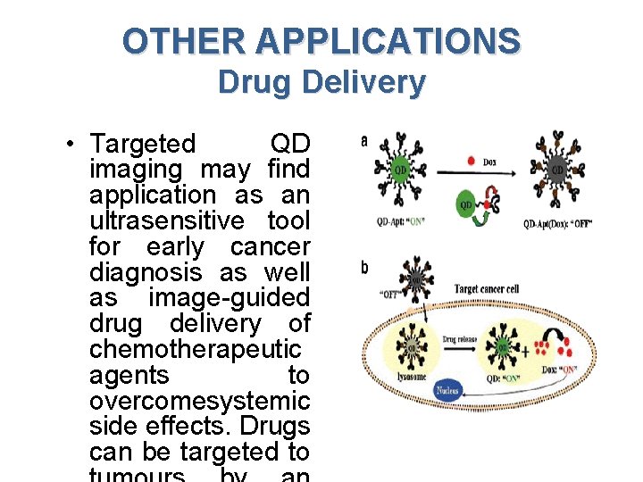OTHER APPLICATIONS Drug Delivery • Targeted QD imaging may find application as an ultrasensitive