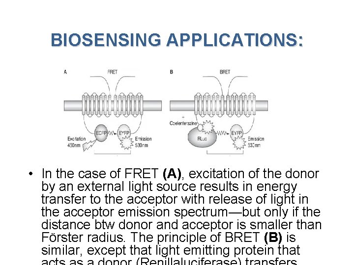 BIOSENSING APPLICATIONS: • In the case of FRET (A), excitation of the donor by