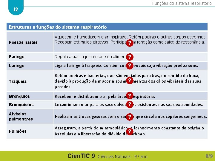Funções do sistema respiratório I 2 Estruturas e funções do sistema respiratório Fossas nasais