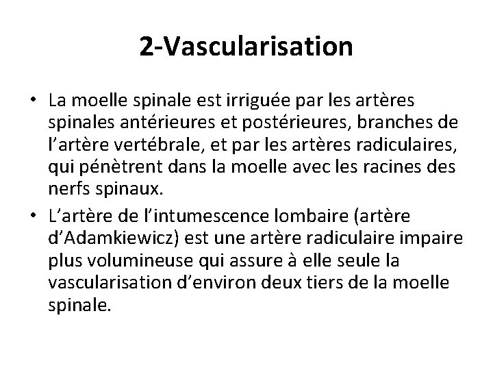 2 -Vascularisation • La moelle spinale est irriguée par les artères spinales antérieures et