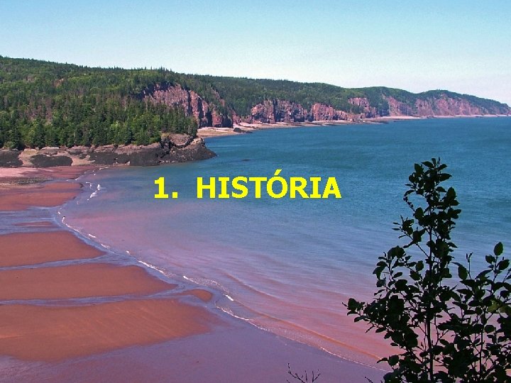 1. HISTÓRIA 