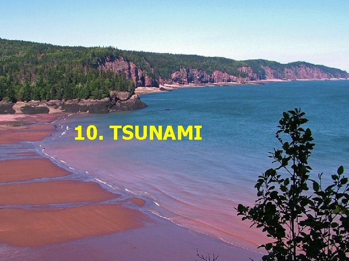 10. TSUNAMI 