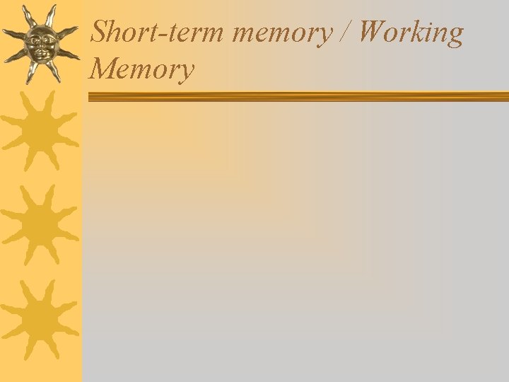 Short-term memory / Working Memory Short-term memory / Working Memory