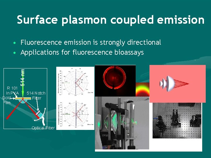 Surface plasmon coupled emission R 101 In PVA Gold Film 514 nm • Fluorescence