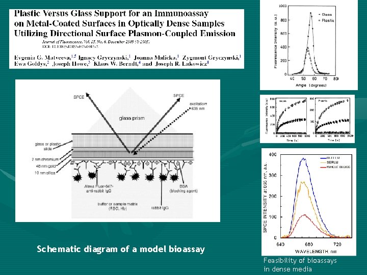 Schematic diagram of a model bioassay Feasibility of bioassays in dense media 
