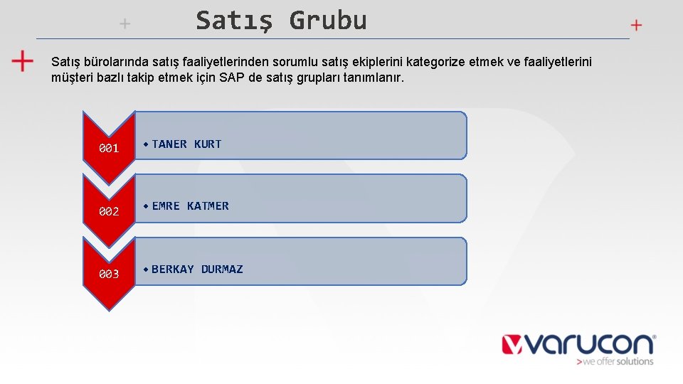 Satış Grubu Satış bürolarında satış faaliyetlerinden sorumlu satış ekiplerini kategorize etmek ve faaliyetlerini müşteri