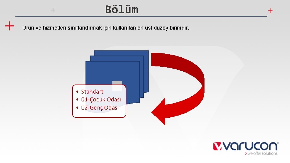 Bölüm Ürün ve hizmetleri sınıflandırmak için kullanılan en üst düzey birimdir. • Standart •