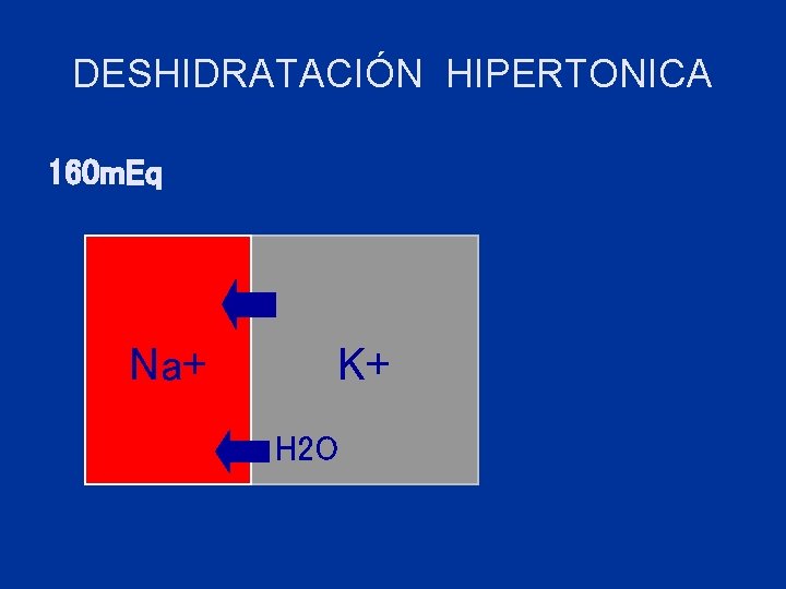 DESHIDRATACIÓN HIPERTONICA 160 m. Eq Na+ K+ H 2 O 