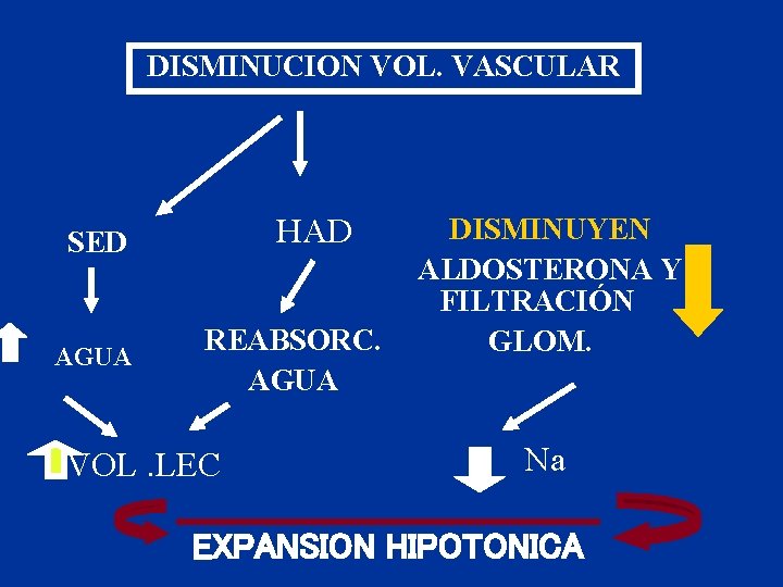 DISMINUCION VOL. VASCULAR HAD SED AGUA REABSORC. AGUA VOL. LEC DISMINUYEN ALDOSTERONA Y FILTRACIÓN