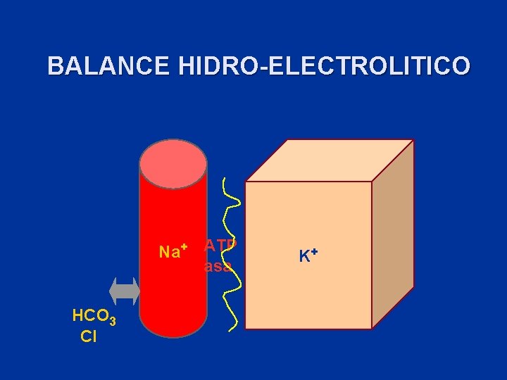 BALANCE HIDRO-ELECTROLITICO Na+ ATP asa HCO 3 Cl K+ 