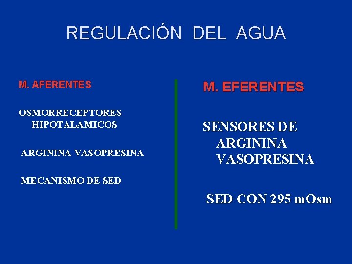 REGULACIÓN DEL AGUA M. AFERENTES OSMORRECEPTORES HIPOTALAMICOS ARGININA VASOPRESINA M. EFERENTES SENSORES DE ARGININA