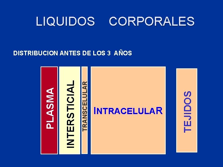 LIQUIDOS CORPORALES INTRACELULAR TEJIDOS TRANSCELULAR INTERSTICIAL PLASMA DISTRIBUCION ANTES DE LOS 3 AÑOS 