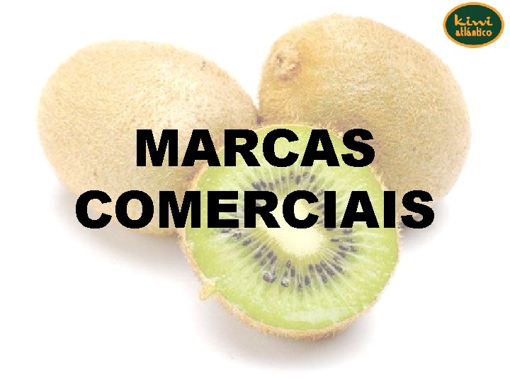 MARCAS COMERCIAIS MARCAS COMERCIAIS