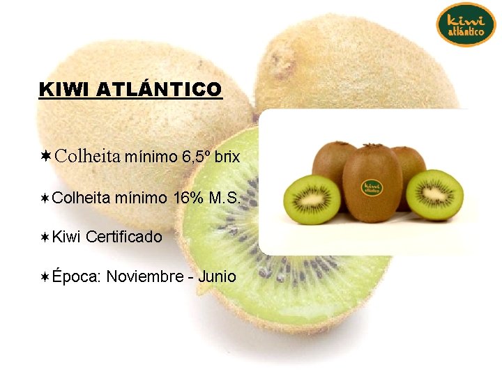 KIWI ATLÁNTICO ¬Colheita mínimo 6, 5º brix ¬Colheita mínimo 16% M. S. ¬Kiwi Certificado KIWI ATLÁNTICO ¬Colheita mínimo 6, 5º brix ¬Colheita mínimo 16% M. S. ¬Kiwi Certificado