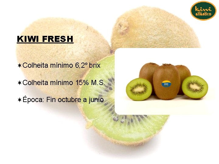 KIWI FRESH ¬Colheita mínimo 6, 2º brix ¬Colheita mínimo 15% M. S. ¬Época: Fin KIWI FRESH ¬Colheita mínimo 6, 2º brix ¬Colheita mínimo 15% M. S. ¬Época: Fin