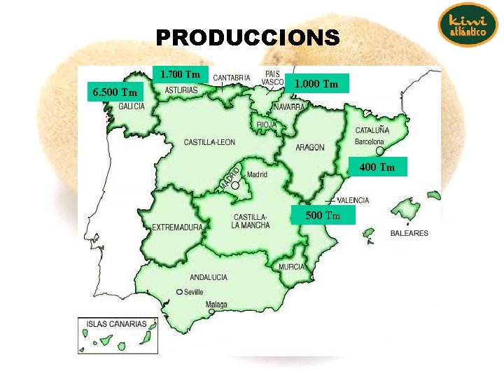 PRODUCCIONS 1. 700 Tm 6. 500 Tm 1. 000 Tm 400 Tm 500 Tm PRODUCCIONS 1. 700 Tm 6. 500 Tm 1. 000 Tm 400 Tm 500 Tm